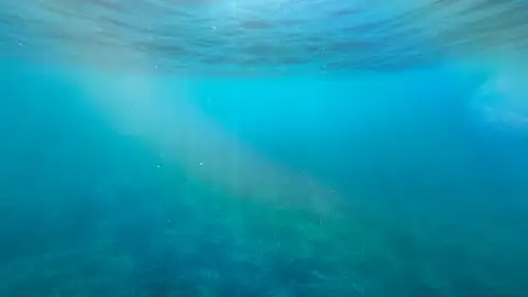 Les océans sources de vie