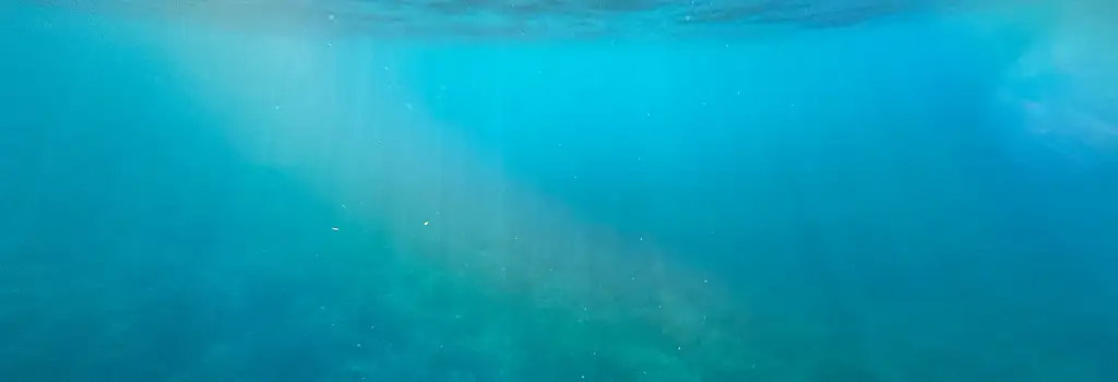 Les océans sources de vie