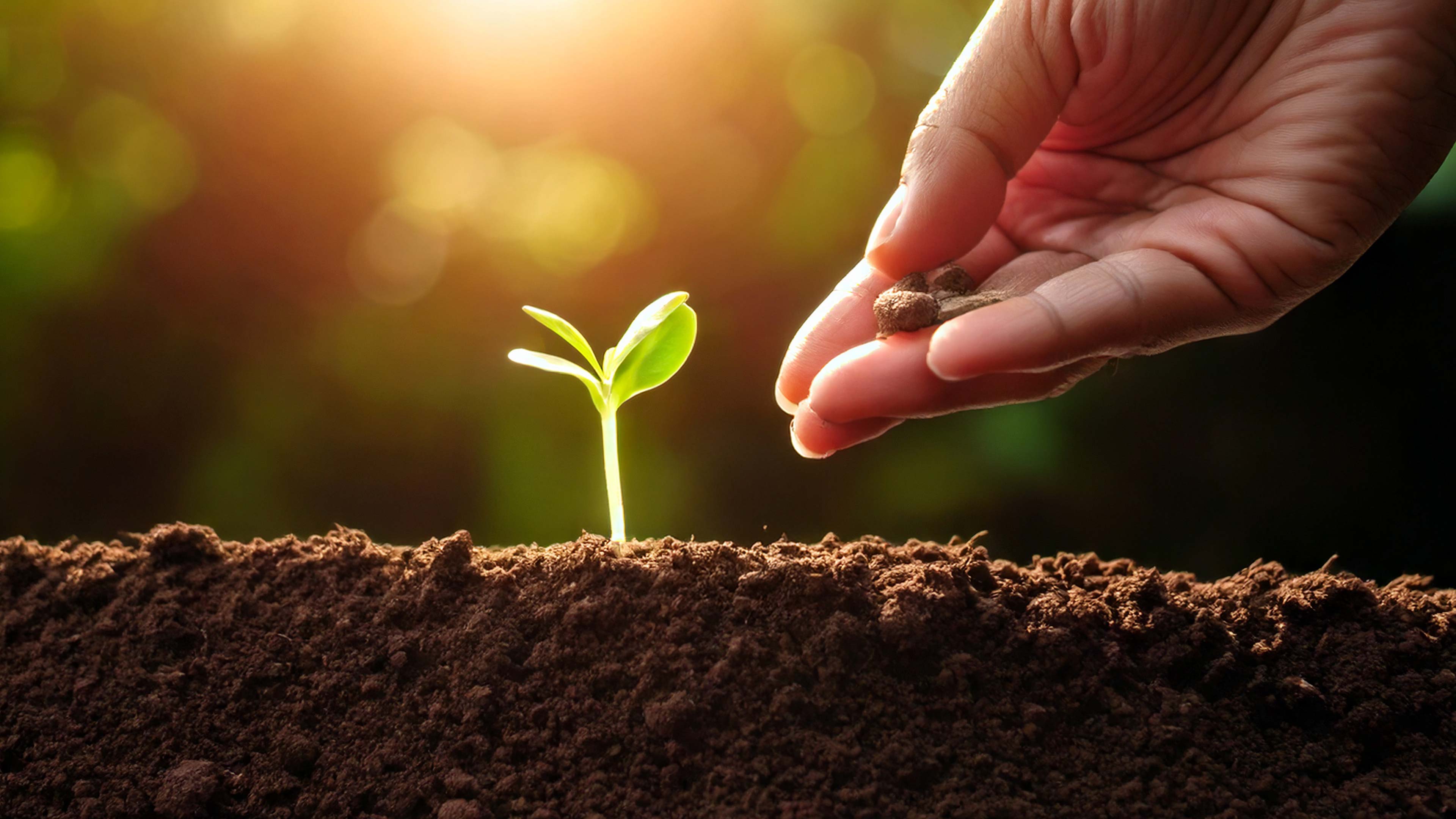 La charité dans l'Islam