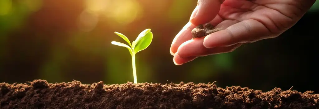 La charité dans l'Islam